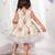 Beige embroidered net dress