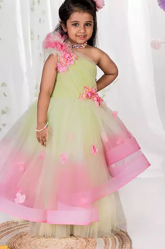 Multicolor embroidered net Dress