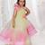 Multicolor embroidered net Dress