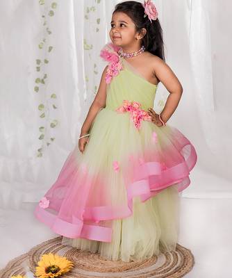 Multicolor embroidered net Dress 1