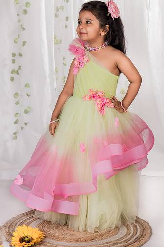Multicolor embroidered net Dress