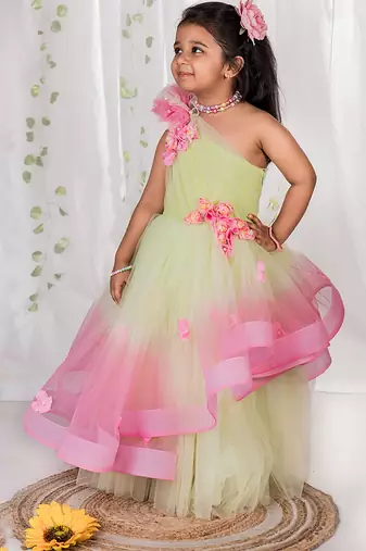 Multicolor embroidered net Dress