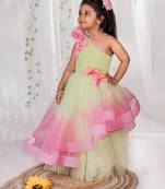 Multicolor embroidered net Dress