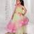Multicolor embroidered net Dress