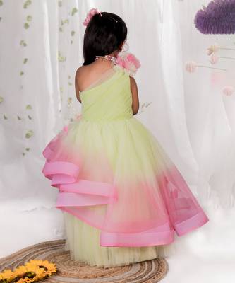 Multicolor embroidered net Dress 4