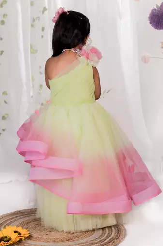 Multicolor embroidered net Dress
