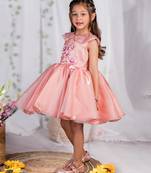 Peach embroidered organza dress