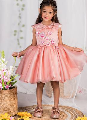 Peach embroidered organza dress 2