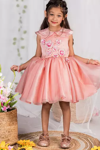 Peach embroidered organza dress