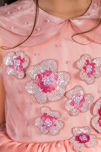 Peach embroidered organza dress