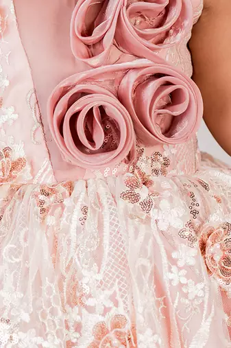 Peach embroidered organza Gown