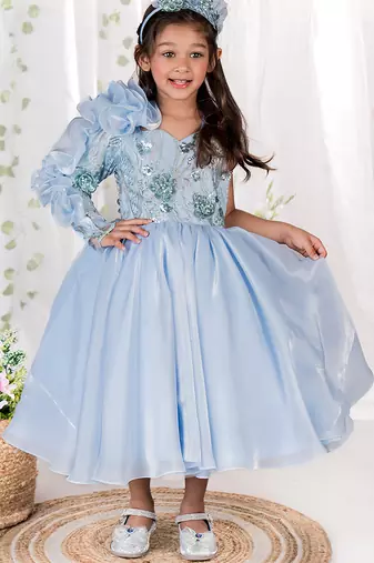 Blue embroidered organza gown