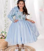 Blue embroidered organza gown