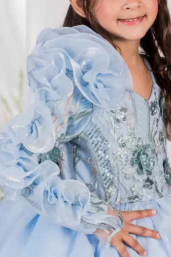 Blue embroidered organza gown