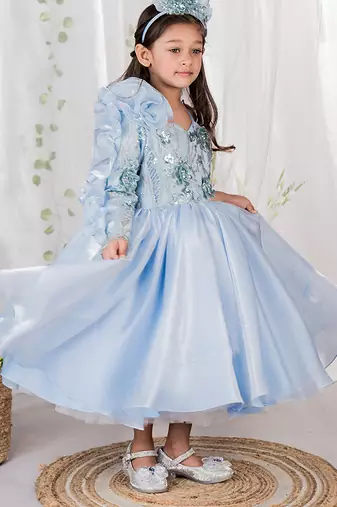 Blue embroidered organza gown
