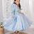 Blue embroidered organza gown