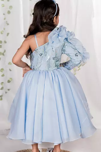 Blue embroidered organza gown