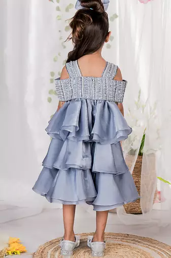 Grey embroidered organza dress