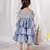 Grey embroidered organza dress