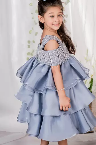 Grey embroidered organza dress