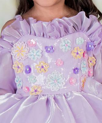 Purple embroidered organza Dress 2