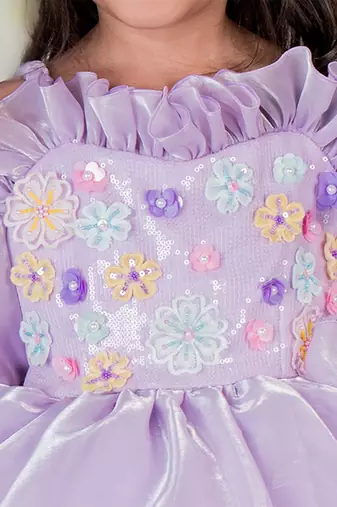 Purple embroidered organza Dress