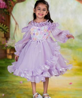 Purple embroidered organza Dress 1