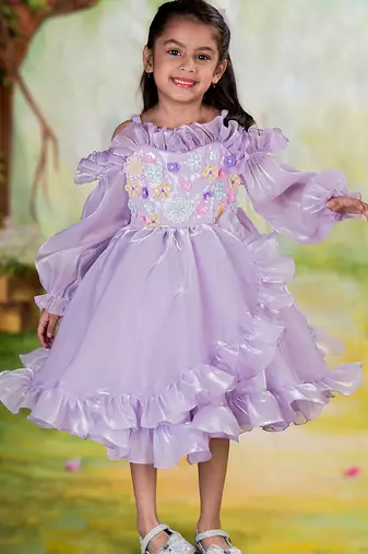 Purple embroidered organza Dress