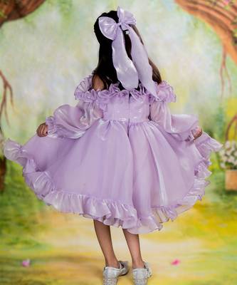 Purple embroidered organza Dress 3