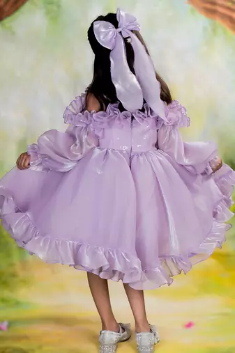 Purple embroidered organza Dress