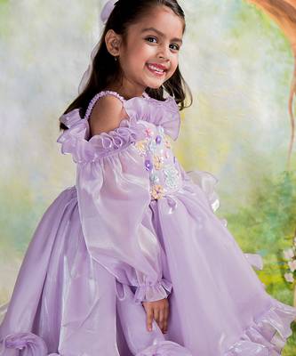 Purple embroidered organza Dress 4