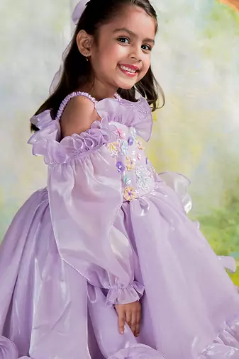 Purple embroidered organza Dress