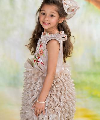 Brown embroidered organza dress 2