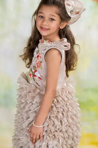 Brown embroidered organza dress