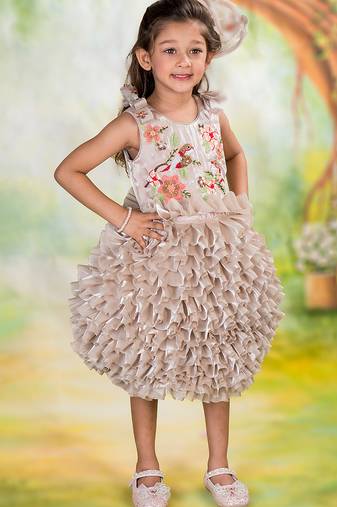 Brown embroidered organza dress