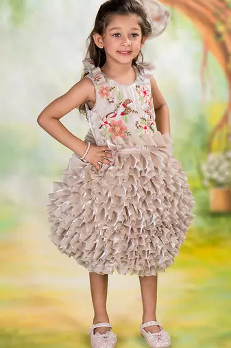 Brown embroidered organza dress