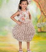 Brown embroidered organza dress