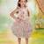 Brown embroidered organza dress