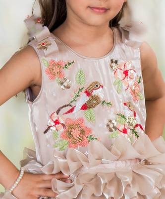 Brown embroidered organza dress 3
