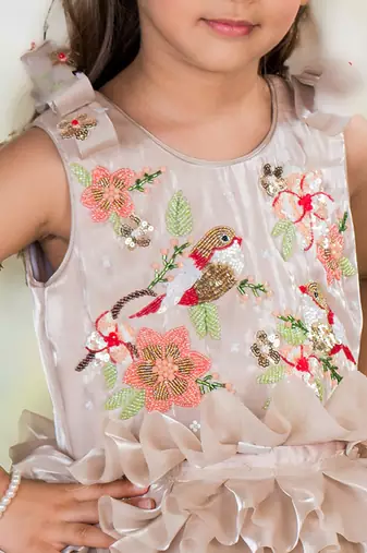 Brown embroidered organza dress