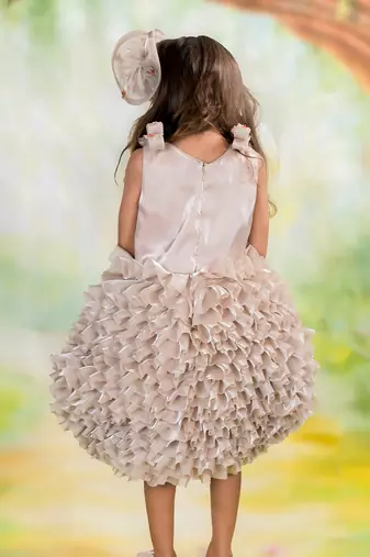 Brown embroidered organza dress