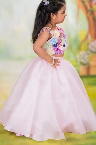 Pink embroidered organza Co Ord Set