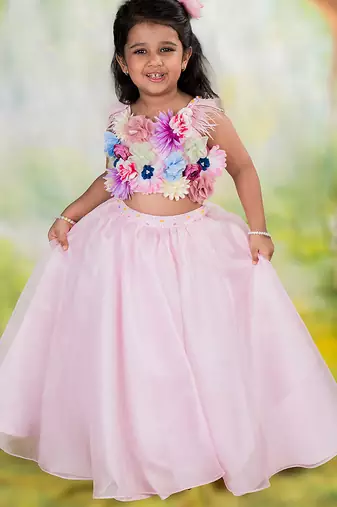 Pink embroidered organza Co Ord Set
