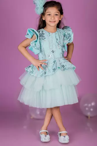 Blue embroidered net Dress