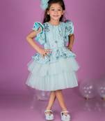 Blue embroidered net Dress