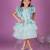 Blue embroidered net Dress