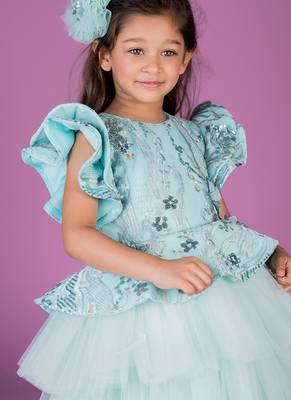 Blue embroidered net Dress 2