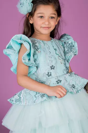Blue embroidered net Dress