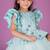 Blue embroidered net Dress