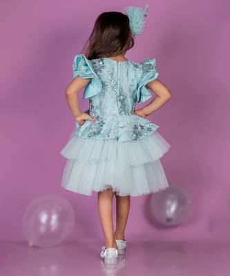 Blue embroidered net Dress 3